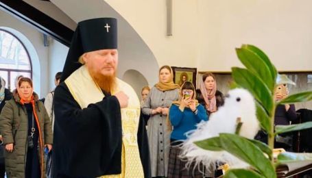 Закликав приходити на служби і захворів: у Києві підтвердився коронавірус у архієпископа УПЦ МП