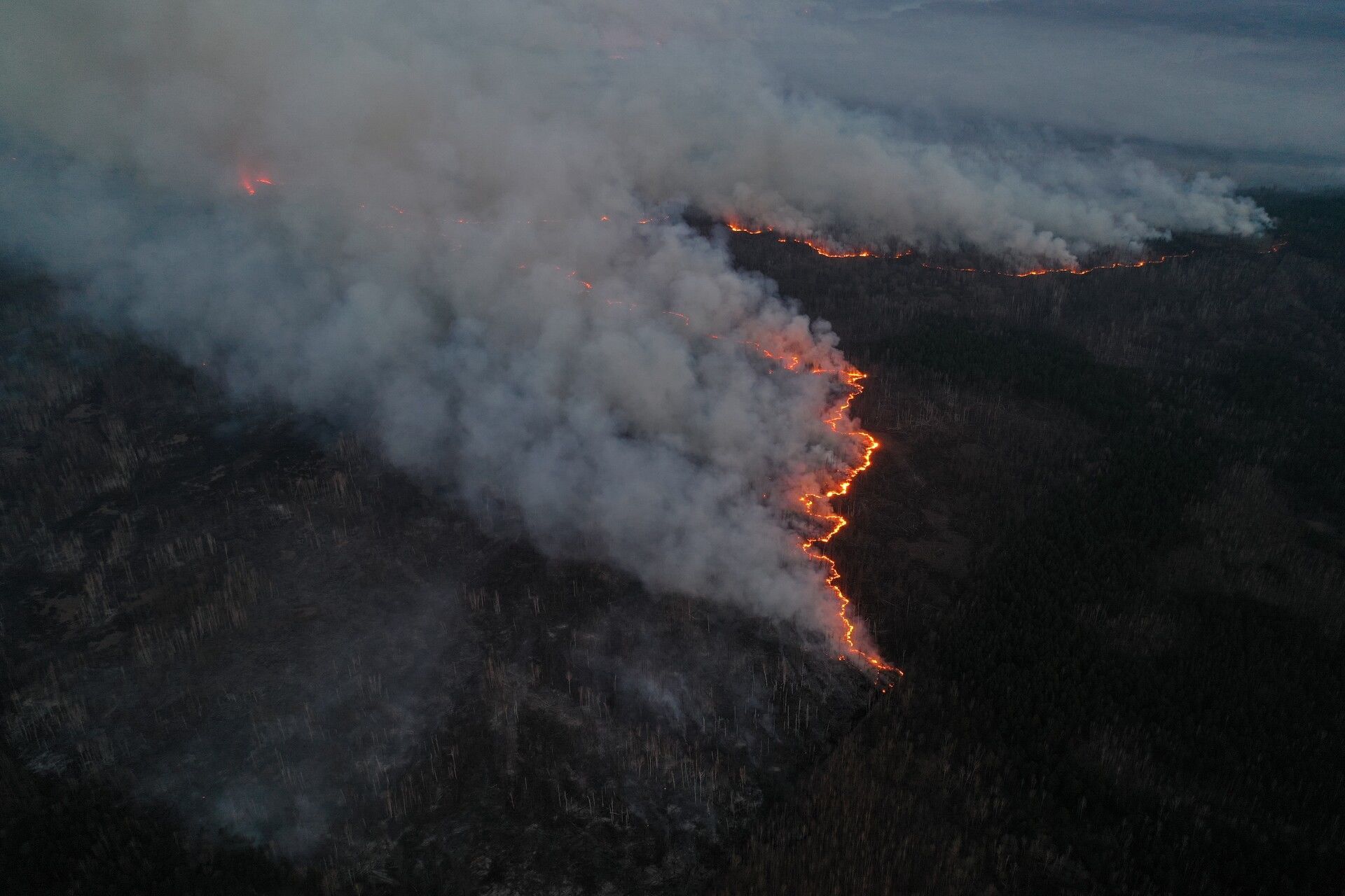 fire in the Chernobyl area_37