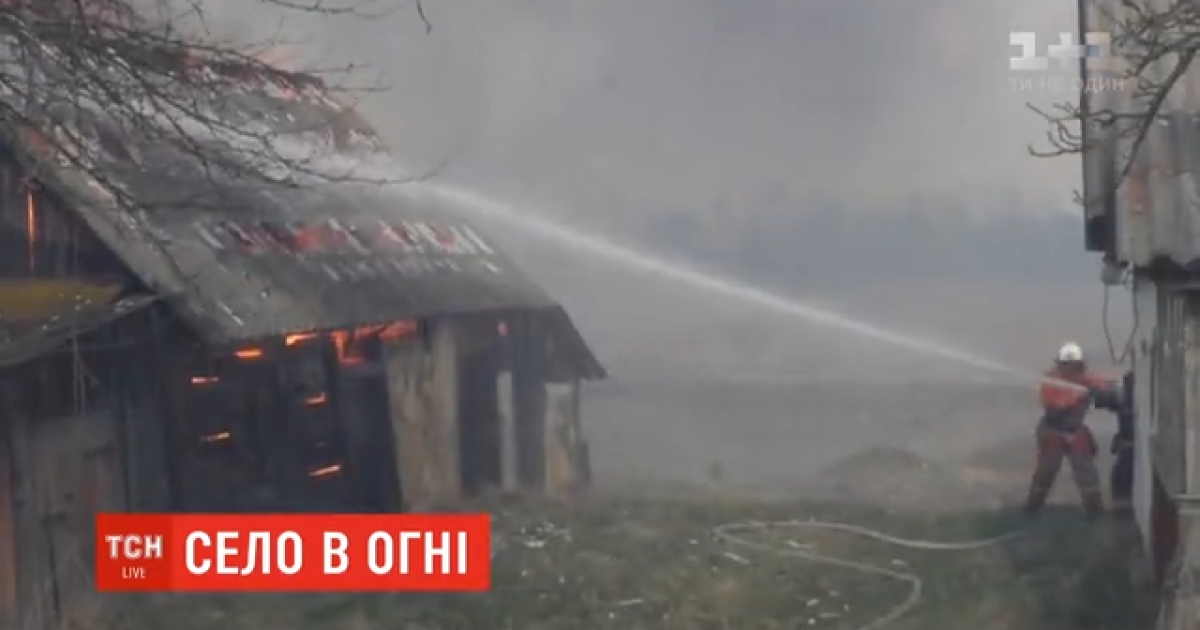 32 сожженых здания и спасатель в реанимации: ветер перебросил огонь с травы на село Житомирской области