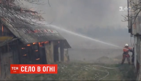 32 сожженых здания и спасатель в реанимации: ветер перебросил огонь с травы на село Житомирской области