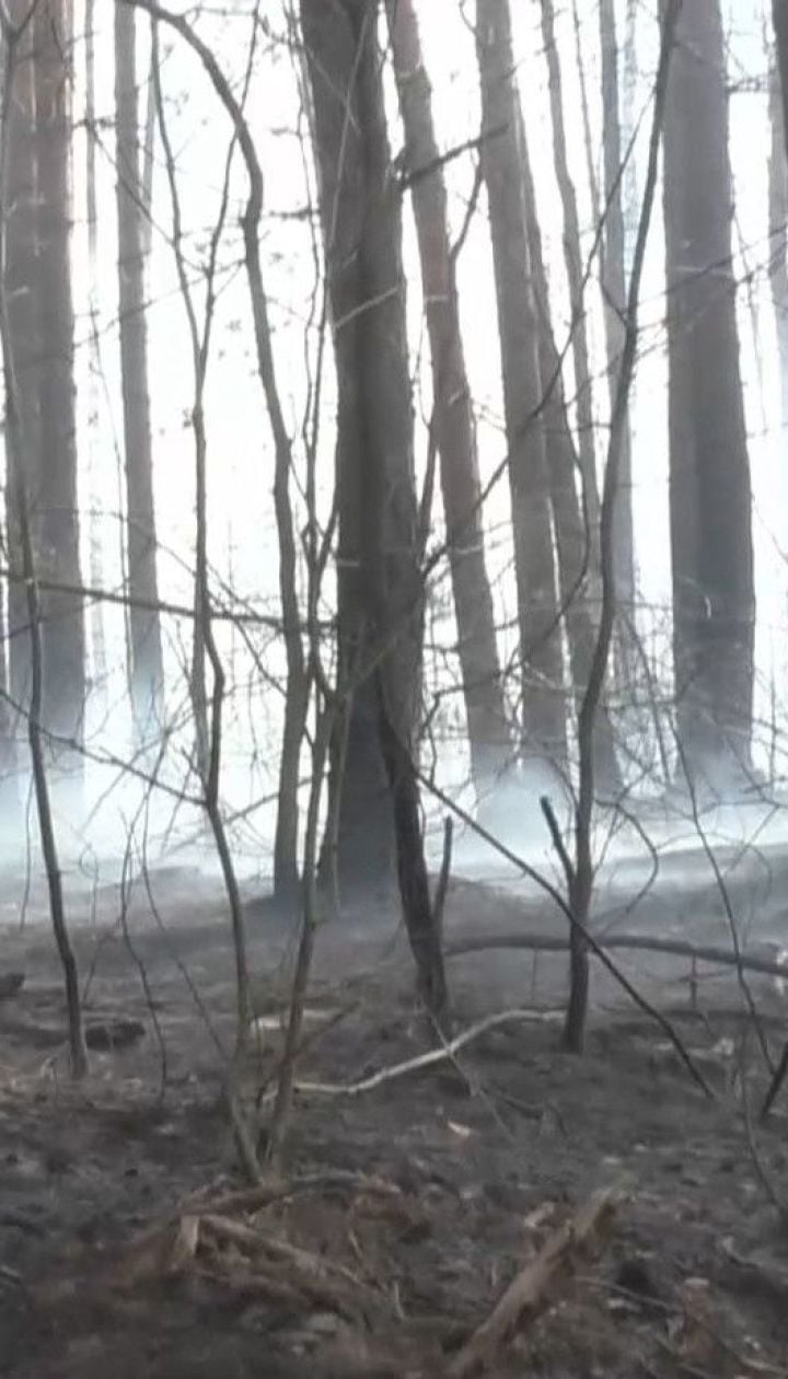 Житомирская область в огне: окружающие села выгорели до нитки из-за поджигателей травы
