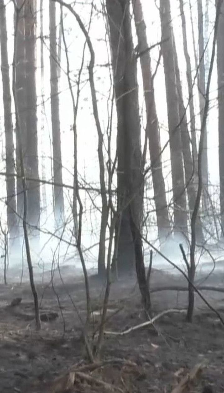 The Zhytomyr region is on fire: the surrounding villages are burned to the brim by burning grass