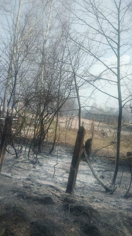Наслідки пожежі у Житомирській області, село Личмани_10
