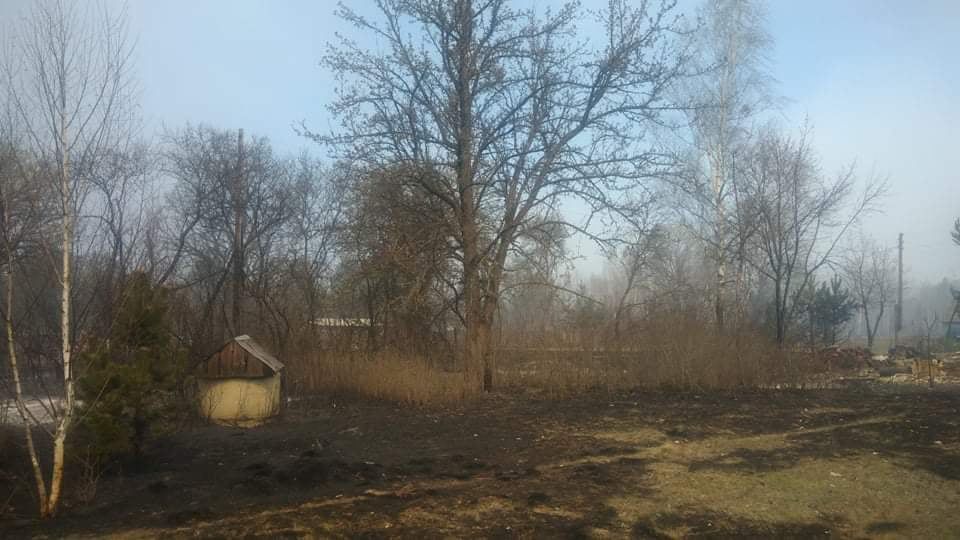 Наслідки пожежі у Житомирській області, село Личмани_9