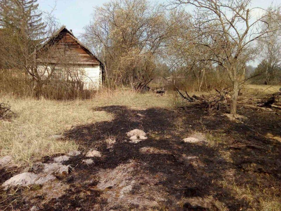 Наслідки пожежі у Житомирській області, село Личмани_2