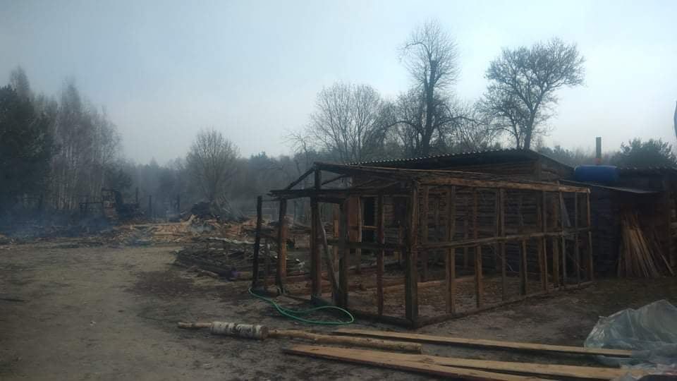 Наслідки пожежі у Житомирській області, село Личмани_3
