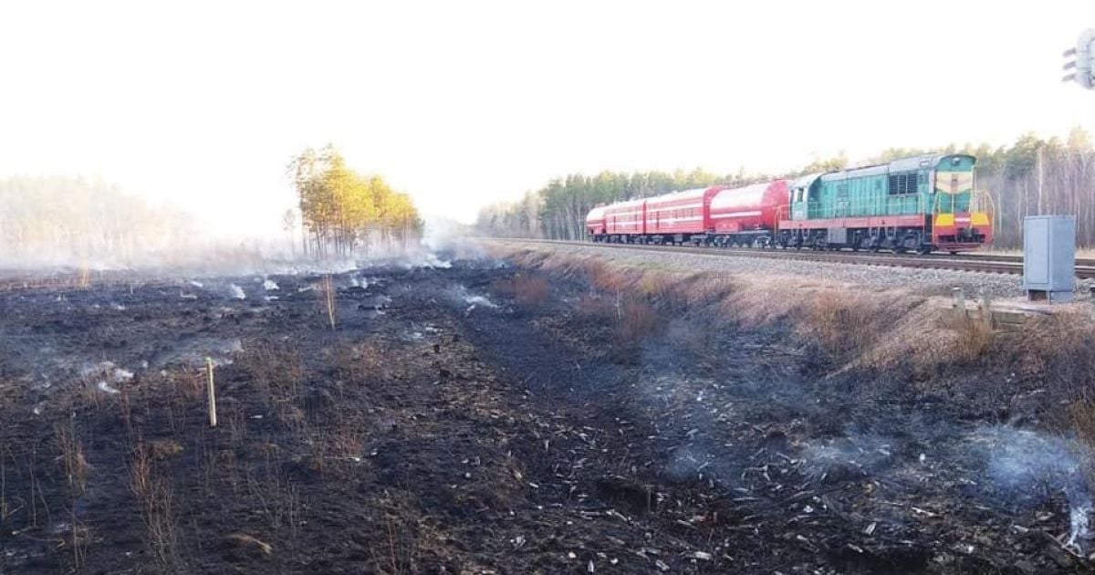 Пожары в Житомирской области: для укрощения огня привлекли поезд "Укрзализныци"