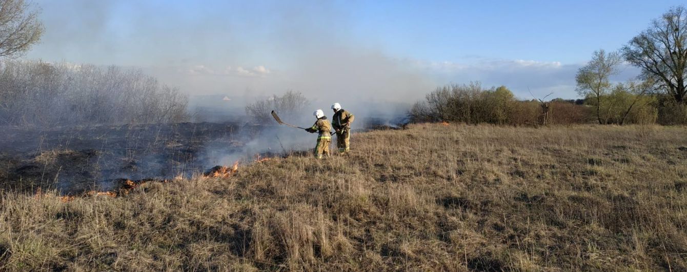 У Полтавській області спалахнуло 11 пожеж: знищено 30 га сухої трави та 200 кв. м сміття