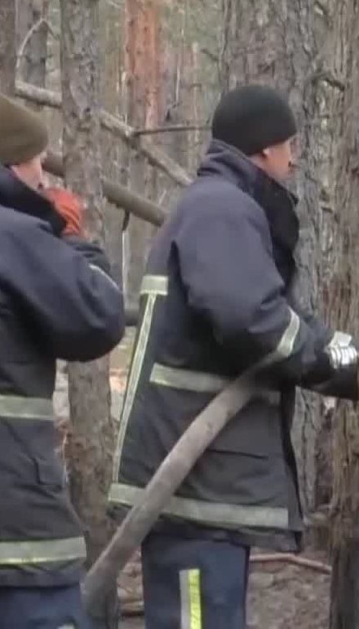 Последствия пожара: в Житомирской области спасателям до сих пор не удается потушить тление травы
