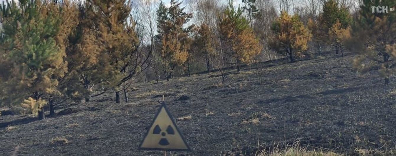 У Чорнобильській зоні триває ліквідація осередків тління