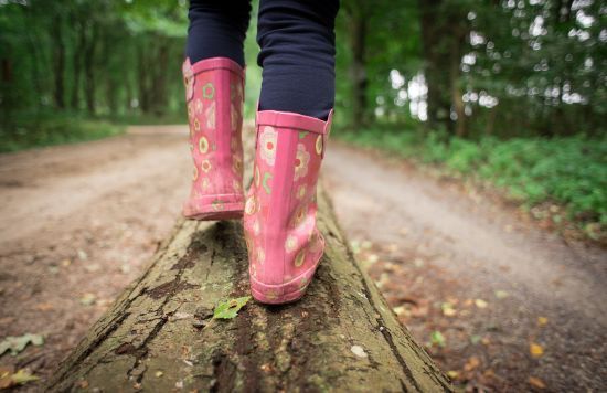 Знайшли мертвою у полі: у Харківській області 6-річну дівчинку шукали з екстрасенсами, водолазами і під дощем