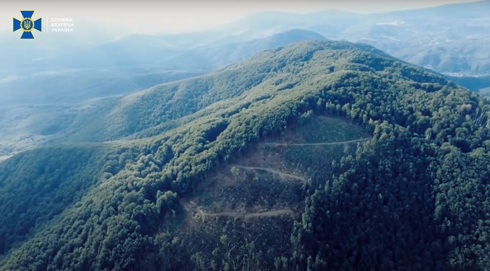 вирубка лісу