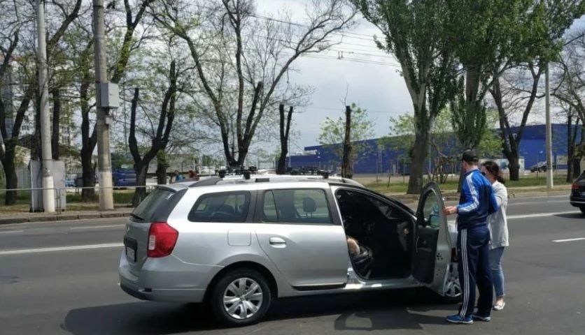 Авто Штермера