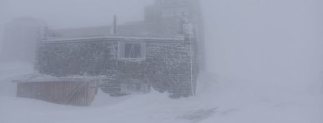 Карпаты замело снегом в последний день весны: фото метели