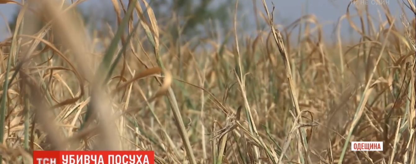 В Министерстве экономразвития отреагировали на суицид фермера в Одесской области