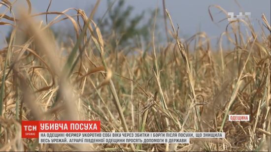 У Міністерстві економрозвитку відреагували на суїцид фермера в Одеській області