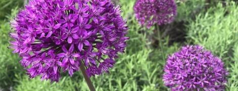 Гороскоп на 26 травня для всіх знаків Зодіаку: день, коли кожен з нас знайде дар ясновидіння