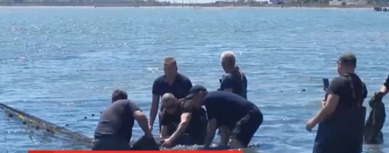 Рятувальна операція дельфіна в Херсонській області отримала неочікуваний розвиток: тварин стало більше
