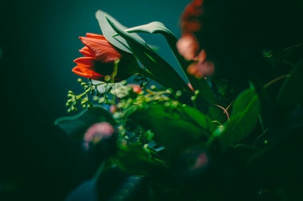 День ангела 20 вересня — душевні привітання в прозі / © unsplash.com