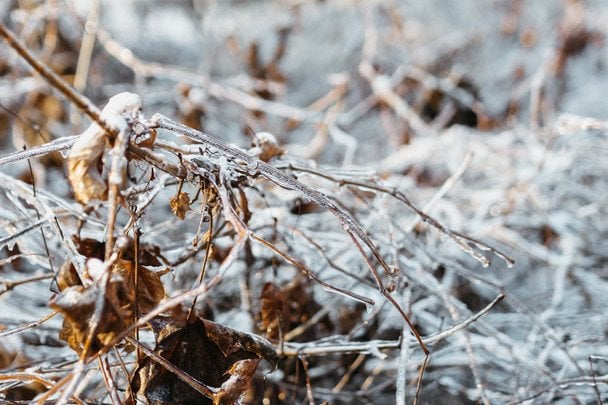 Народні прикмети 31 грудня / © pexels.com