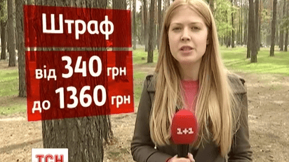 Киян штрафуватимуть за багаття в межах міста