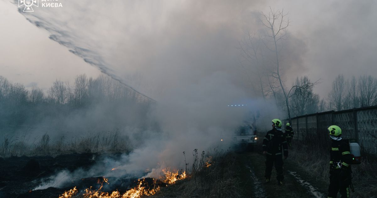 У Києві на Троєщині рятувальники ліквідували пожежу в екосистемах