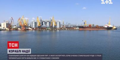 25 судов с зерновым грузом уже вышли из украинских портов