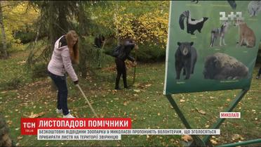 У зоопарку Миколаєва роздають безкоштовні квитки волонтерам за допомогу в прибиранні листя