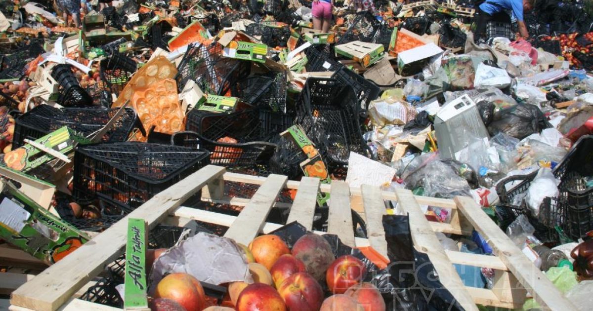 В начале августа в России вступил в силу закон об уничтожении продуктов, импорт которых в стране запрещен