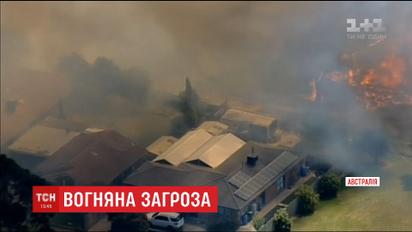 В Австралії спалахнула масштабна лісова пожежа