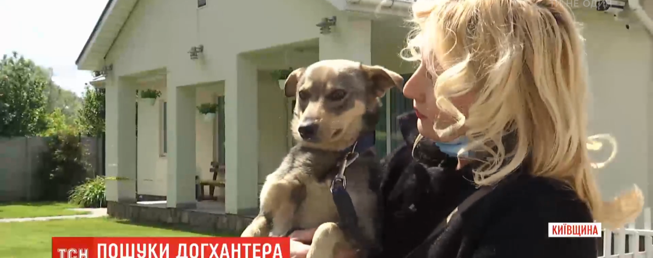 У селі в Київській області з'явився шкуродер, який труїть та відстрілює безпритульних тварин