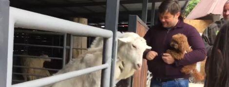Проти ексголови ОП Богдана ініціювали кримінальне провадження за жорстоке поводження з козлом