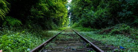 29 травня 2020 року: яке сьогодні свято, прикмети та День ангела