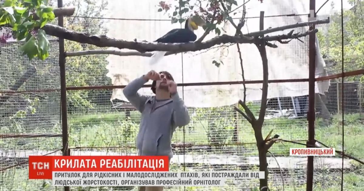 У Кропивницькому орнітолог організував реабілітаційний центр для птахів, яких скривдили господарі