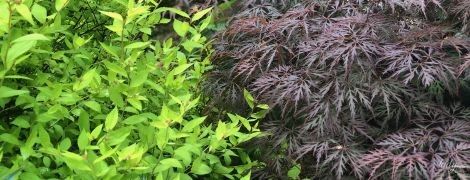 Гороскоп на 3 червня для всіх знаків зодіаку: день дежавю і колективної творчості