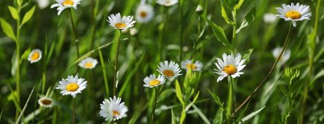 6 червня: свята, ритуали, звичаї та заборони дня
