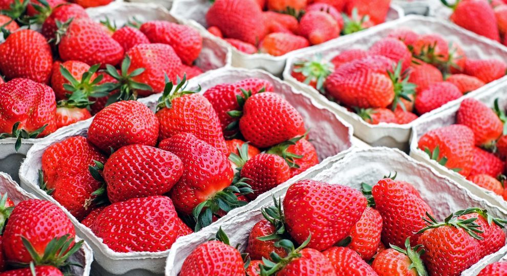 Рекордно високі ціни: скільки коштує кілограм полуниці в Україні