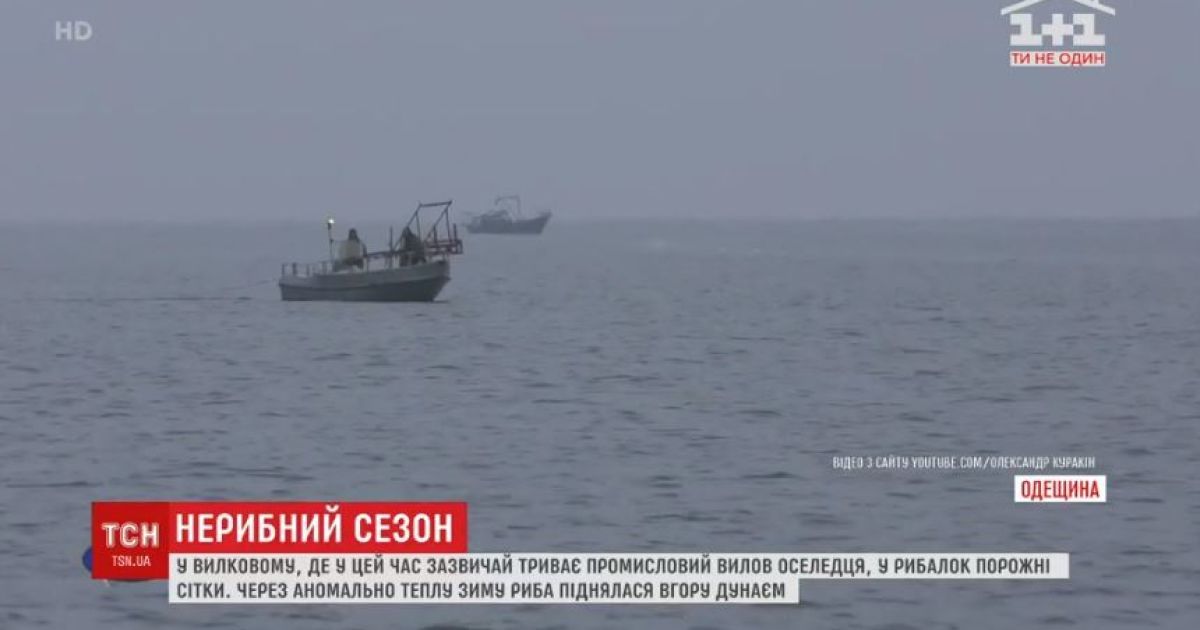 Погода проти рибалок: в Одеській області залишились без промислового вилову оселедця