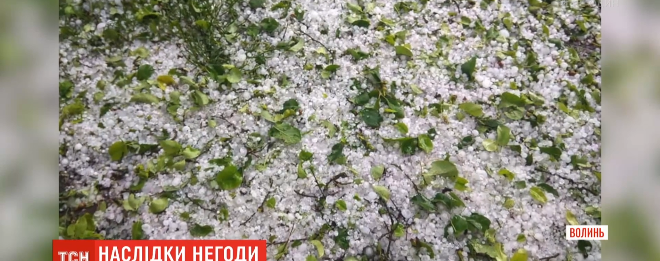 Знищений урожай: на Волині випав град розміром з волоський горіх
