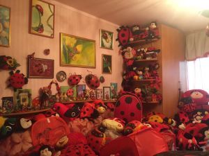 Днепрянка установила мировой рекорд своей коллекцией божьих коровок