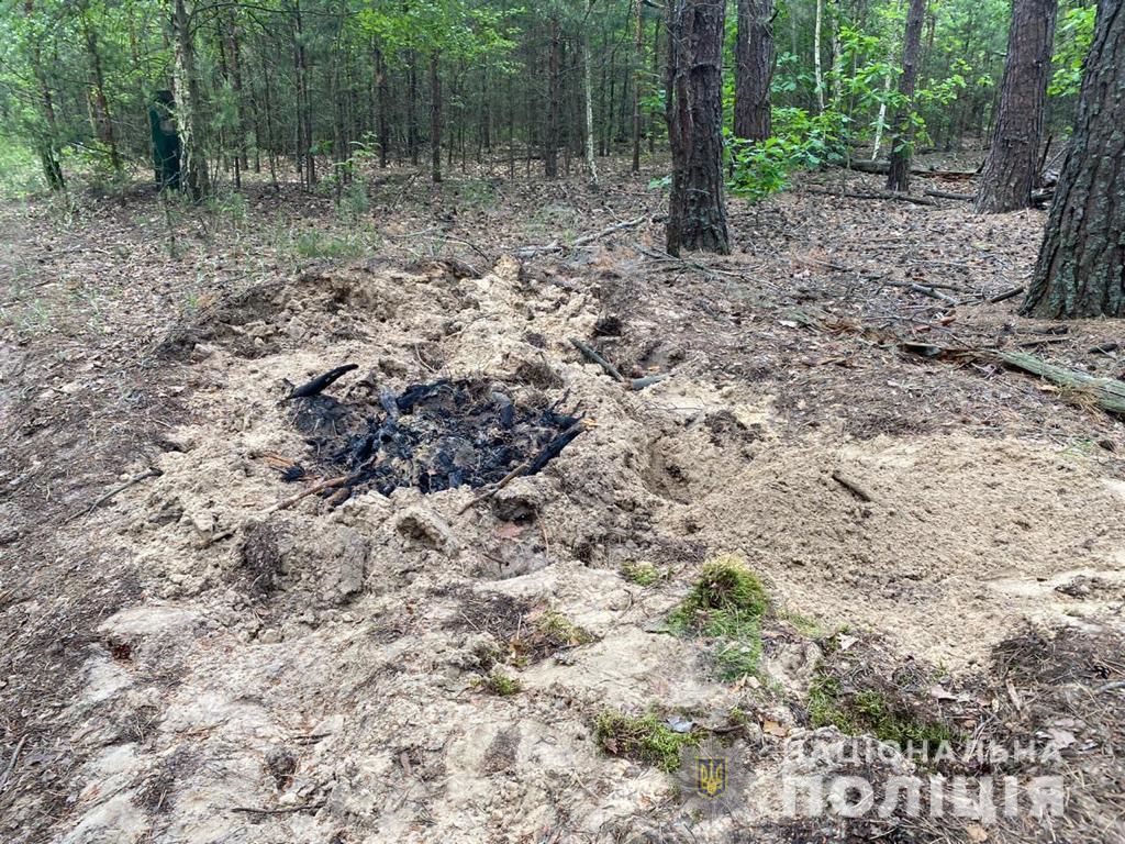 Закопані тіла у лісі