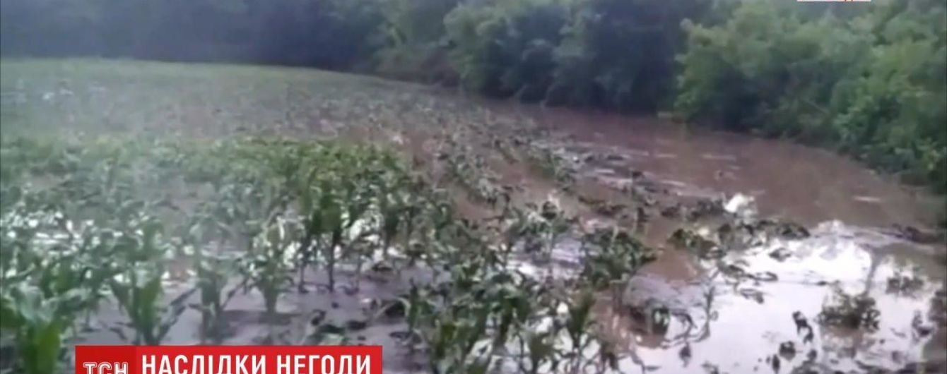 В Винницкой области прошли мощные ливни: за несколько минут затопило подворья