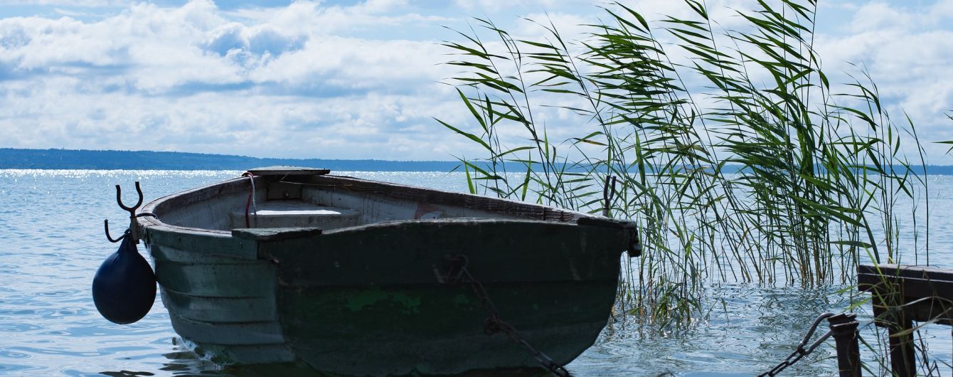Вчені назвали термін виживання коронавірусу у річковій воді