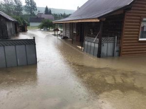 У Держекоінспекції назвали головні причини руйнівних паводків на Західній Україні