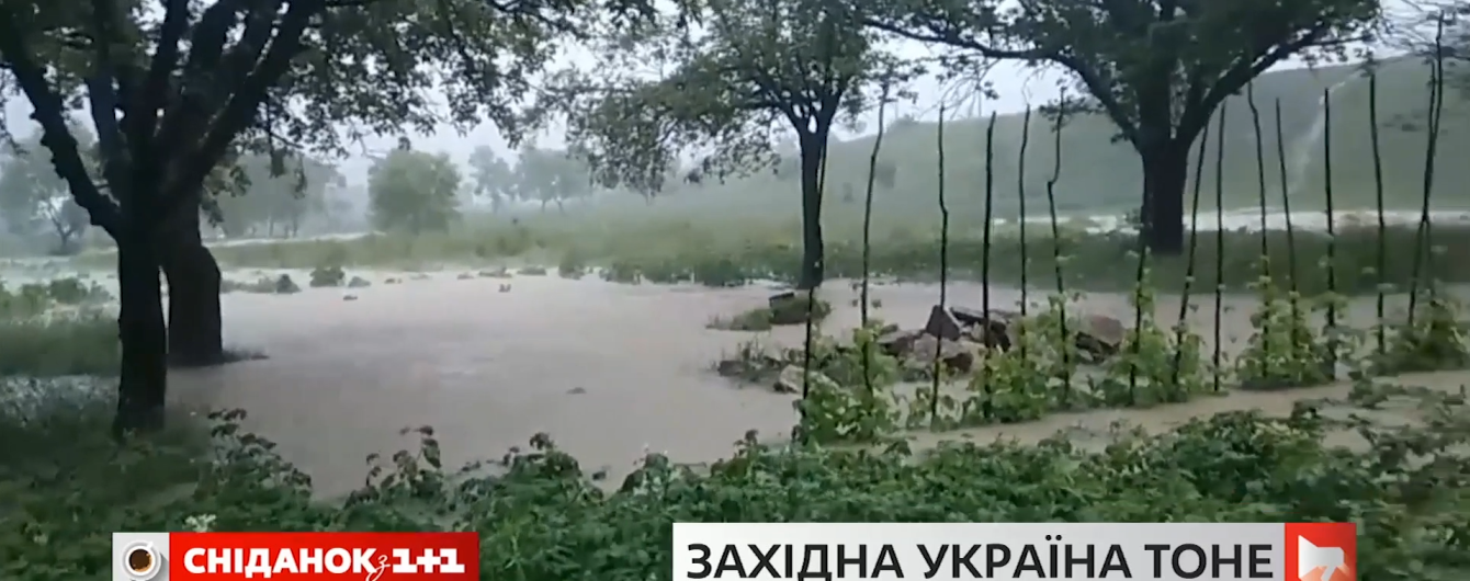 "Люди напуганы": на Прикарпатье наводнение затопило целое село и отрезало его с обеих сторон