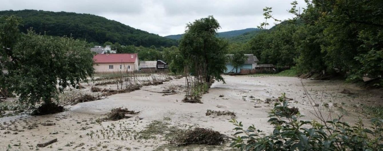 Вирубка лісів чи сильні опади: що призвело до масштабних повеней на заході України
