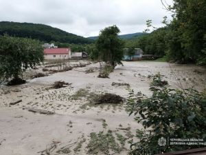 Вирубка лісів чи сильні опади: що призвело до масштабних повеней на заході України