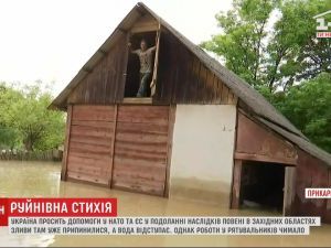 В затопленном селе на Прикарпатье уровень воды местами достигает десяти метров