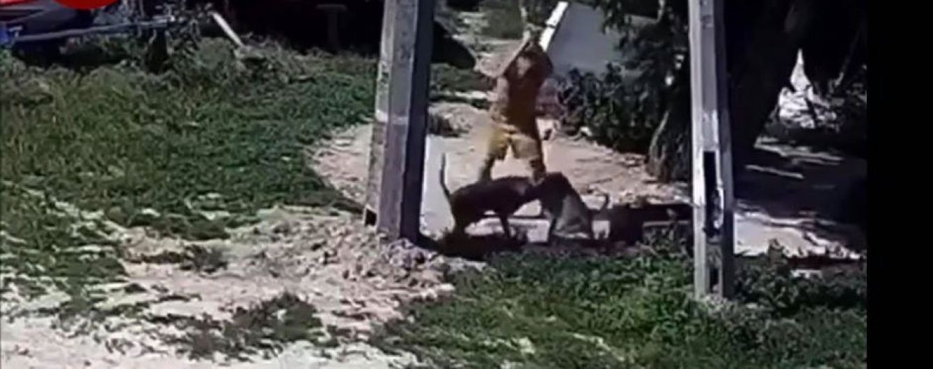 В Киеве на Воскресенских садах мужчина пытался зарубить собаку топором