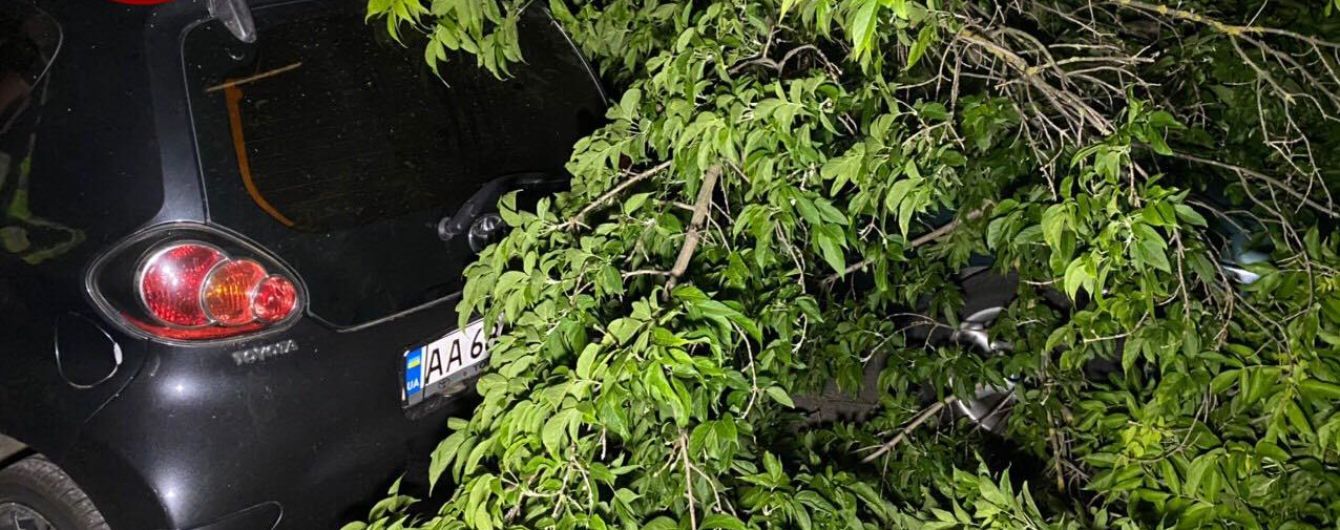 У Києві на Подолі дерево впало на припарковані автівки